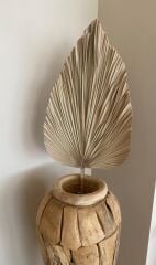 Dekoratif Palmiye Yaprak