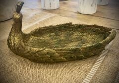 Dekoratif Tavuskuşu